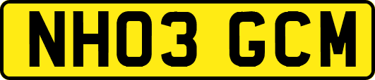NH03GCM