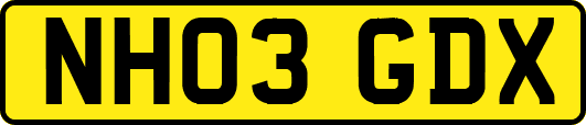 NH03GDX