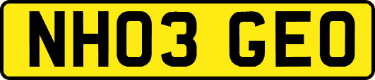 NH03GEO