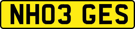 NH03GES