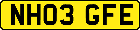 NH03GFE