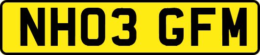 NH03GFM