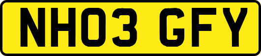 NH03GFY