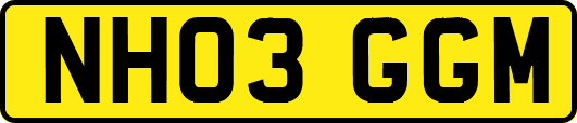NH03GGM