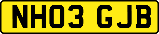 NH03GJB