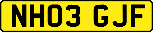 NH03GJF
