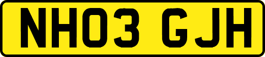 NH03GJH