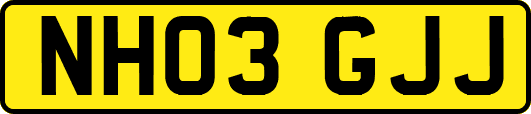 NH03GJJ