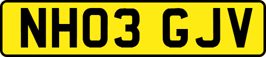 NH03GJV