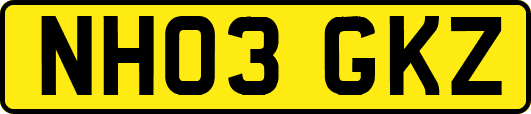 NH03GKZ