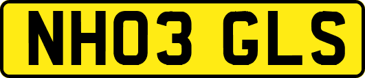 NH03GLS