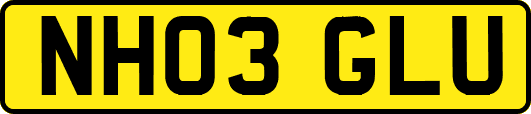 NH03GLU