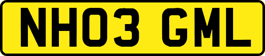 NH03GML