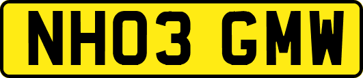 NH03GMW