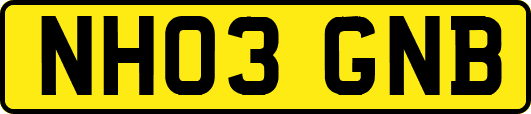 NH03GNB