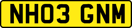 NH03GNM
