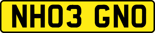 NH03GNO