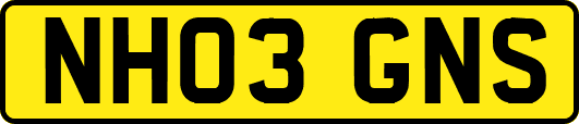 NH03GNS
