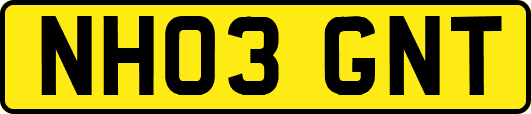 NH03GNT
