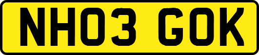NH03GOK