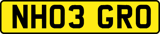 NH03GRO