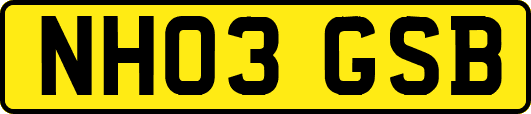 NH03GSB