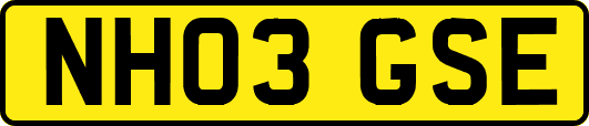 NH03GSE