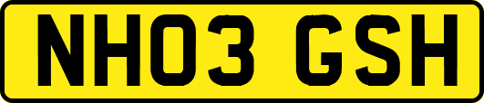 NH03GSH