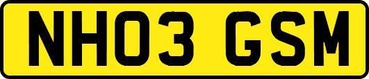 NH03GSM