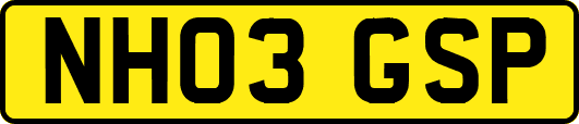 NH03GSP