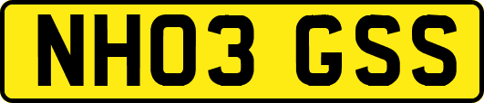 NH03GSS