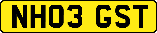 NH03GST