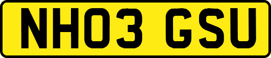 NH03GSU