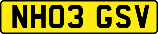 NH03GSV