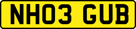 NH03GUB