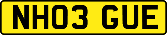 NH03GUE