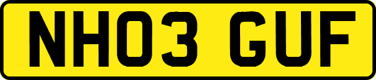 NH03GUF