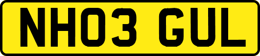 NH03GUL
