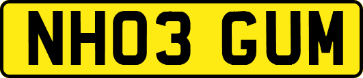 NH03GUM