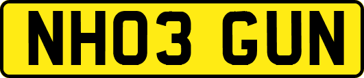 NH03GUN