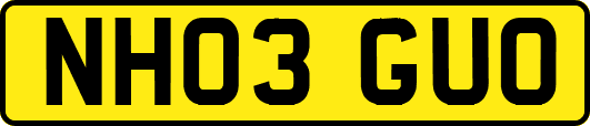 NH03GUO