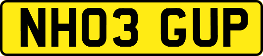 NH03GUP