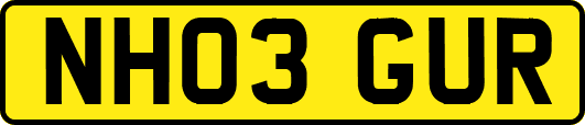 NH03GUR