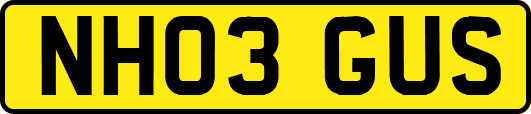 NH03GUS