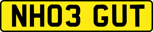 NH03GUT