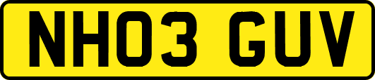 NH03GUV