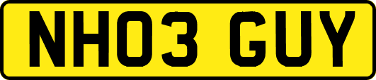 NH03GUY