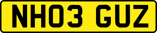 NH03GUZ