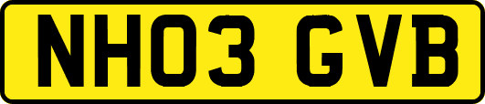 NH03GVB