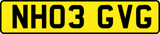 NH03GVG